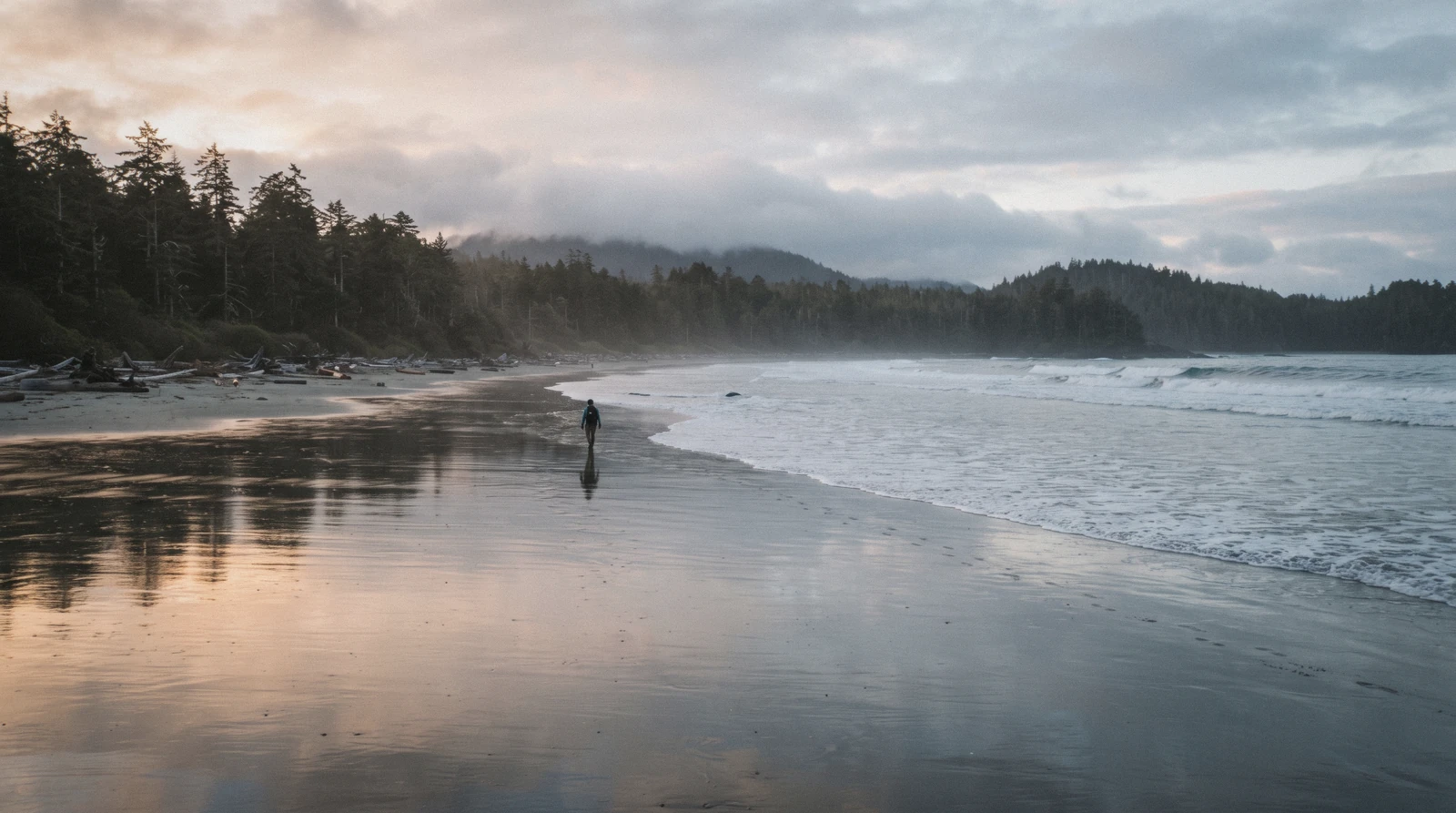 One day in Tofino: a boat in the harbour and a wide beach under forest