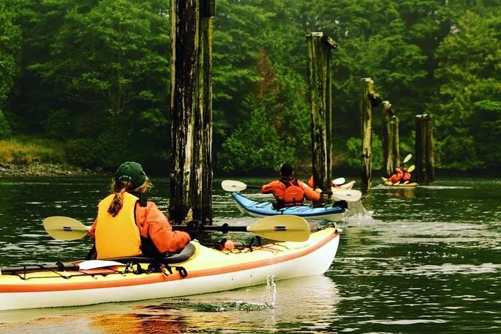 Guided sea kayaks in Ucluelet harbour near Tofino