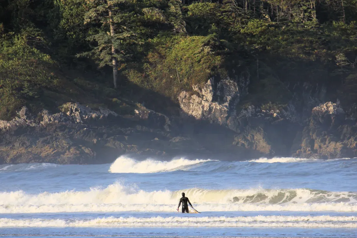 A surfer standing in the whitewater at Cox Bay near Tofino, British Columbia, with a forested rocky headland behind