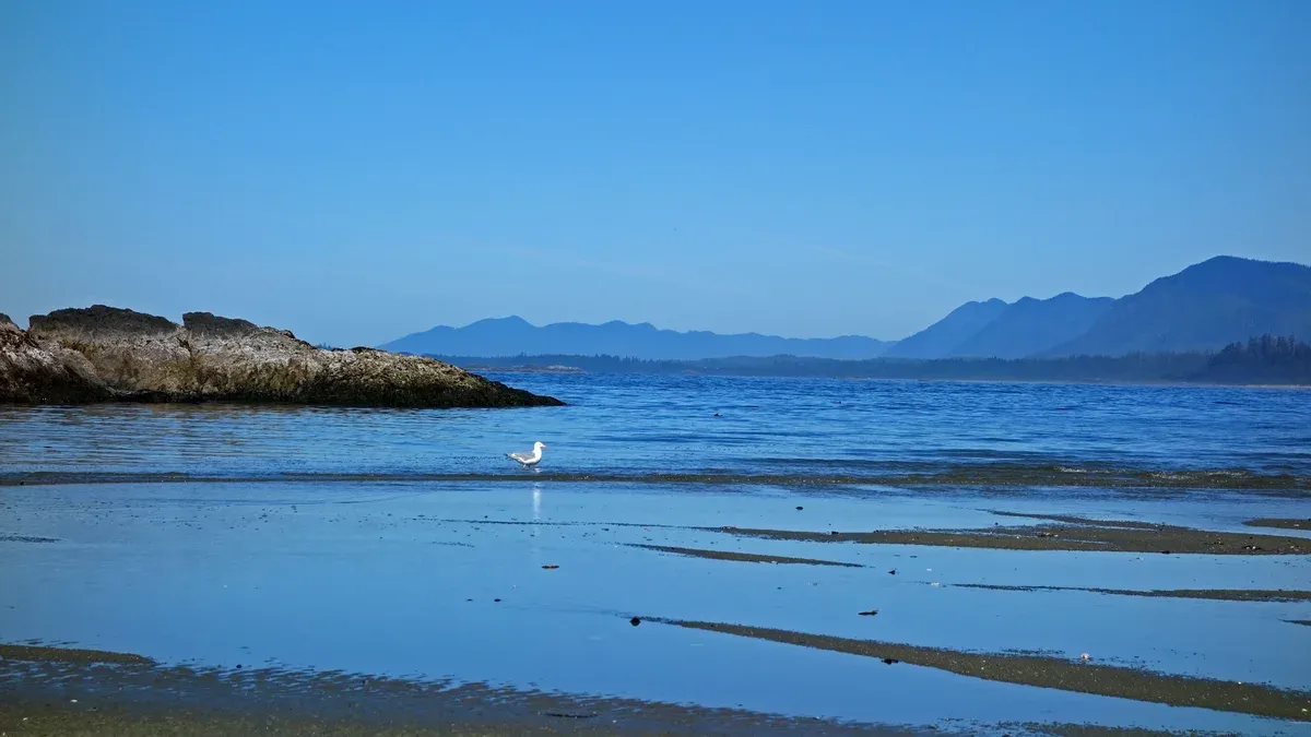 Low tide on Wickaninnish Beach in the Long Beach Unit of Pacific Rim National Park near Tofino, British Columbia